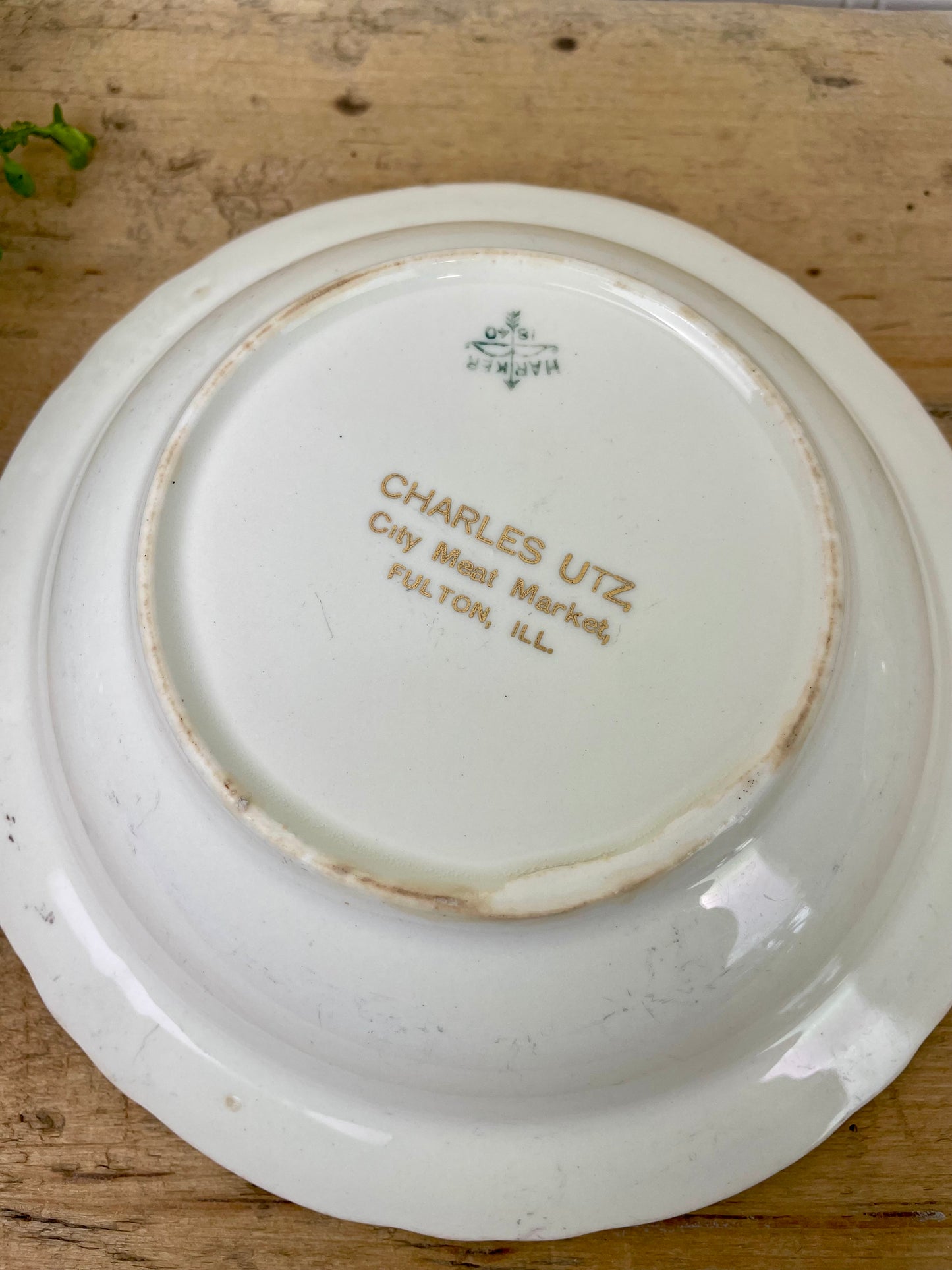 Vintage Harker Porcelain Bowl with Strawberry Image