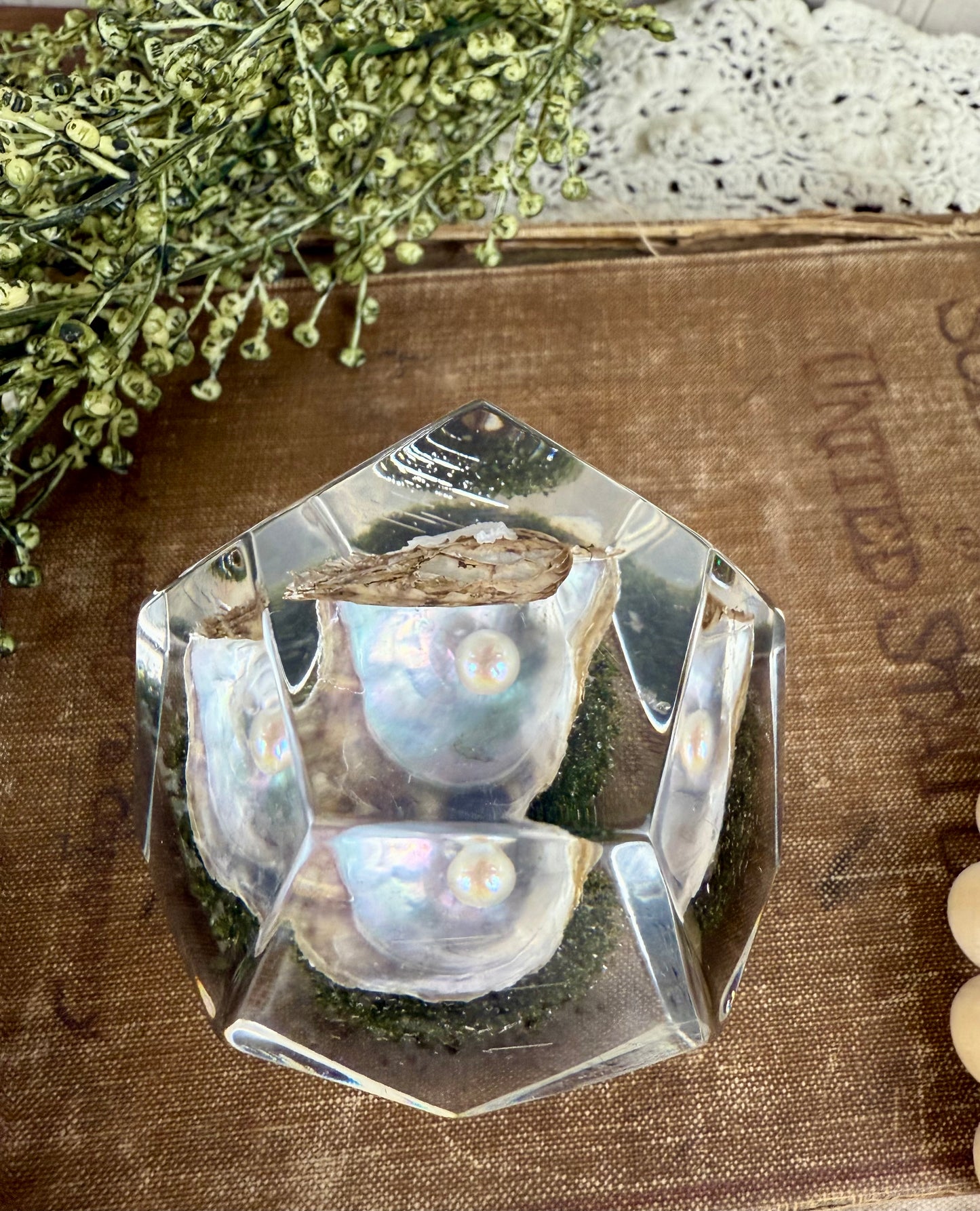 Vintage Geometric Lucite Paperweight with Clam & Pearl