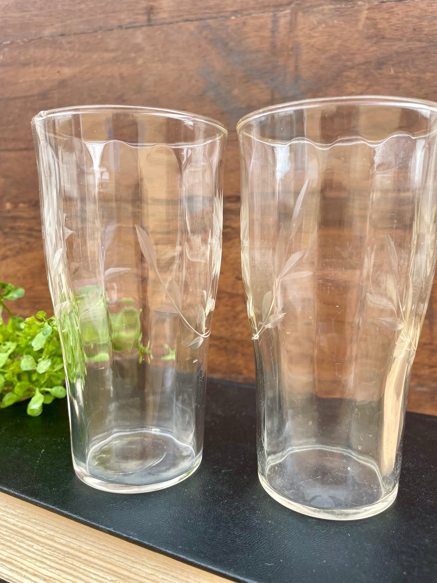 Vintage Drinking Glass Set with Etched Flowers