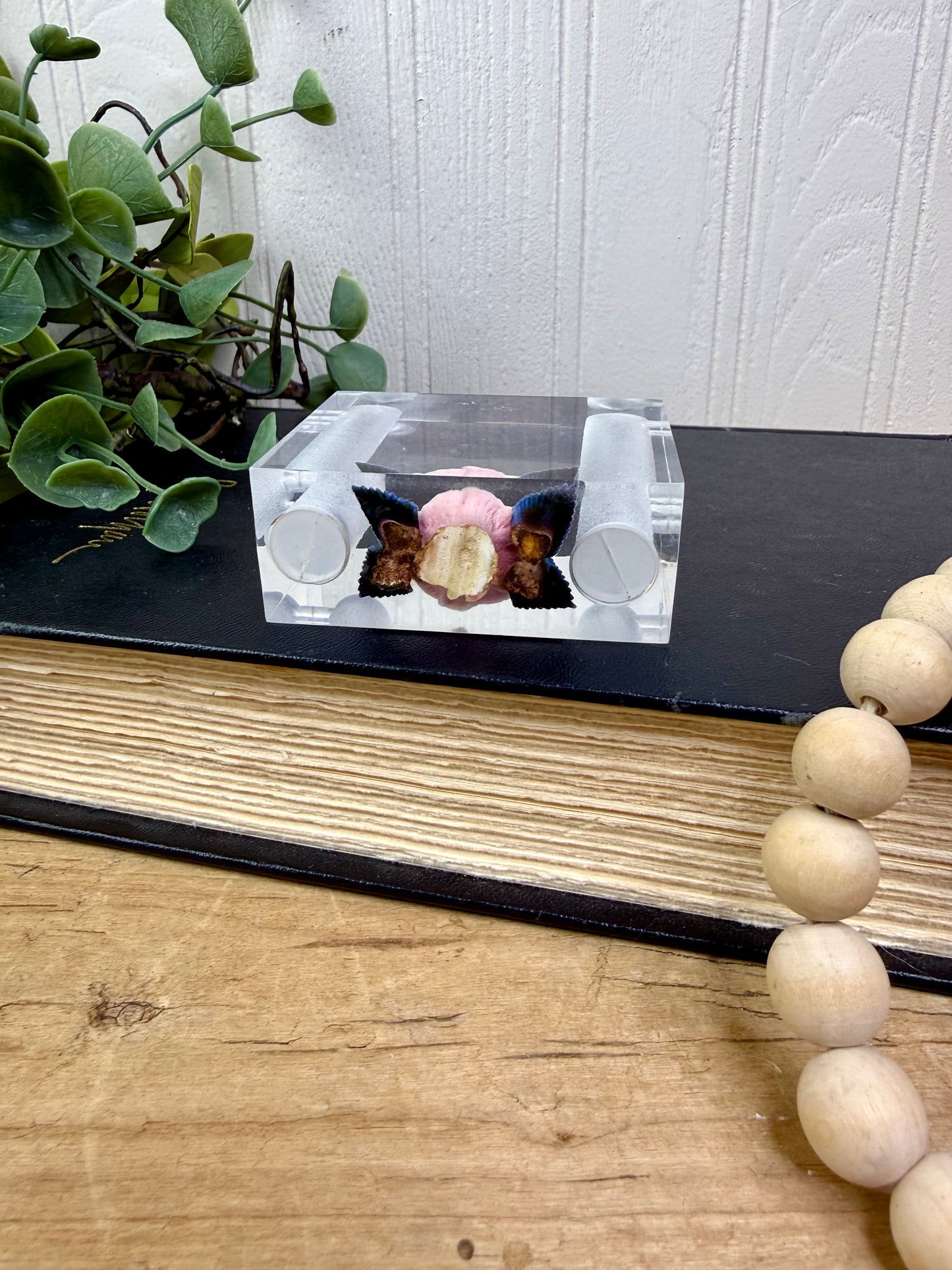 Vintage 1950’s Lucite Salt & Pepper Shaker