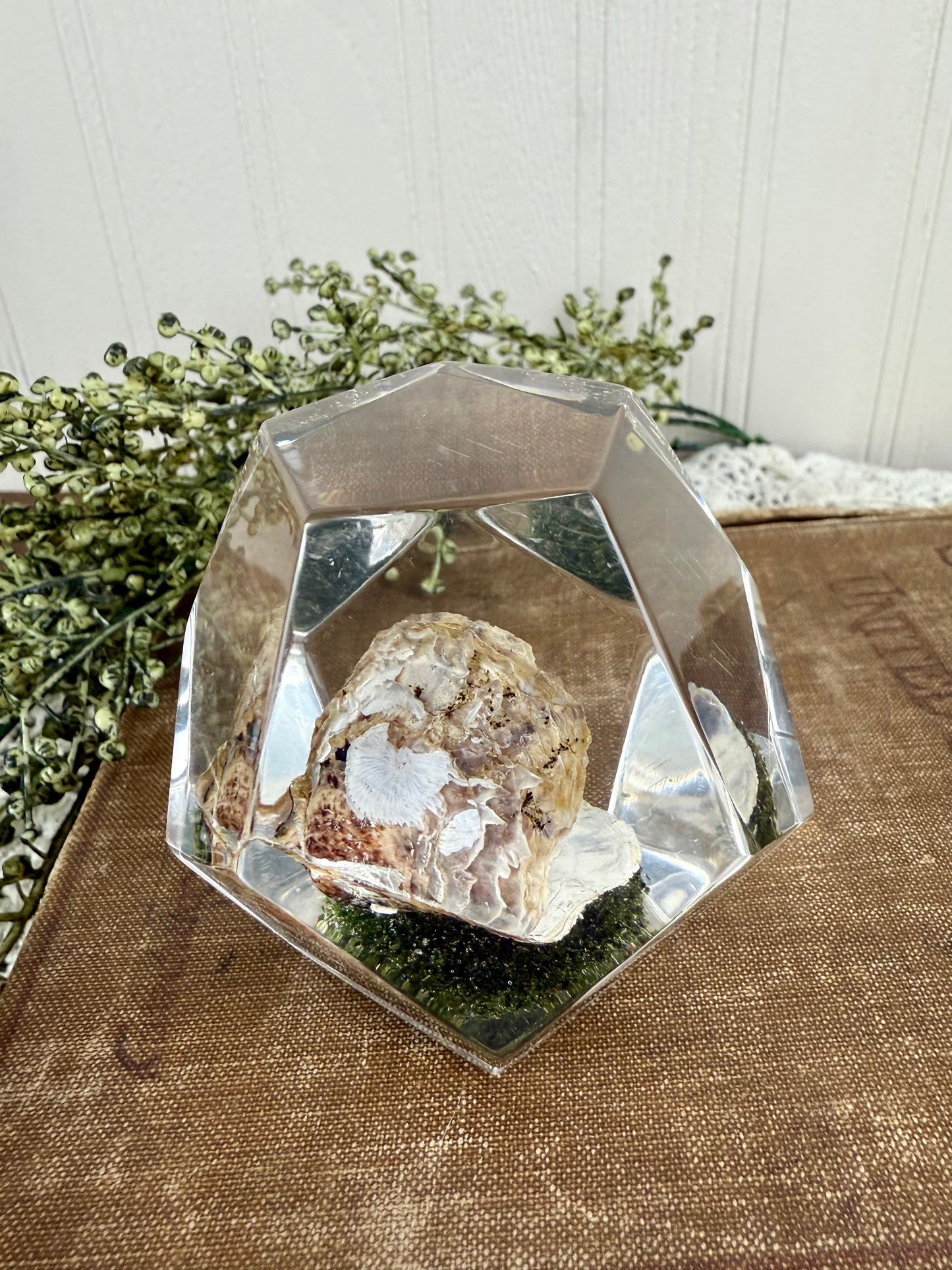 Vintage Geometric Lucite Paperweight with Clam & Pearl