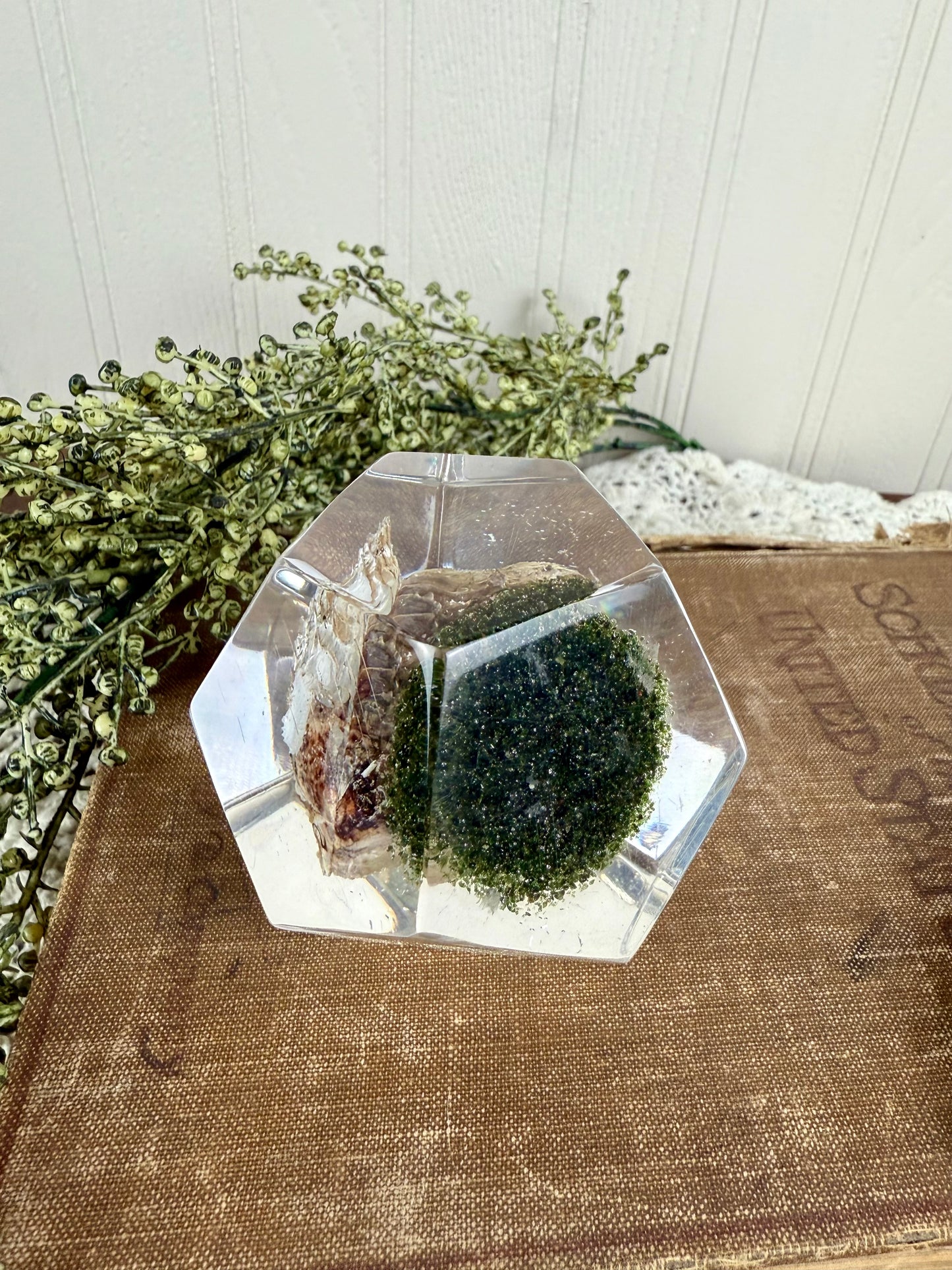 Vintage Geometric Lucite Paperweight with Clam & Pearl