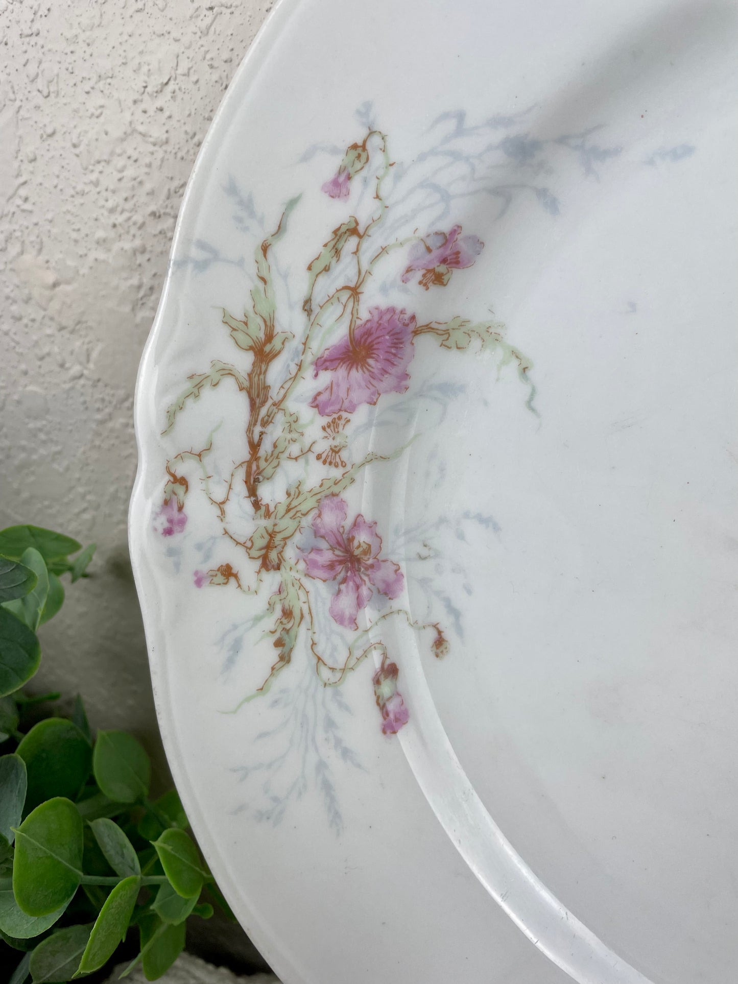 Vintage Syracuse China Plate with Florals