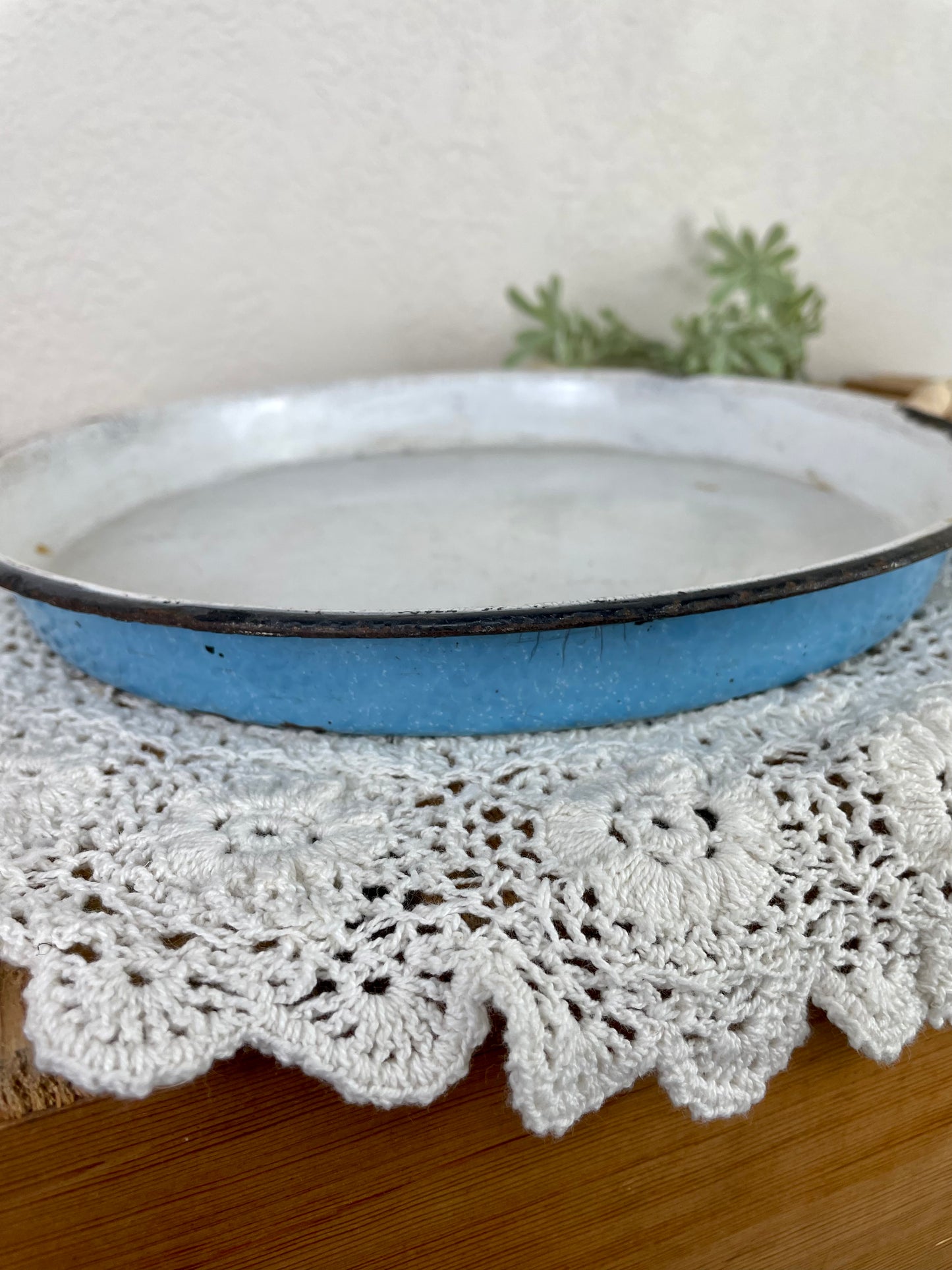 Vintage Blue & White Enamel Plate