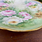 Antique J&C Bavaria Hand Painted Porcelain Plate