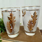 Vintage Libbey "Golden Foliage" Frosted Glasses