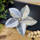 Vintage Brass Lotus Flower with Silver Finish