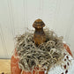 Handmade Plush Pumpkin with Doily Leaves #2