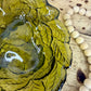 Vintage Indiana Glass Co. Avocado Green Loganberry Candy Dish