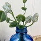 Vintage Cobalt Blue Glass Medicine Bottle with Greenery