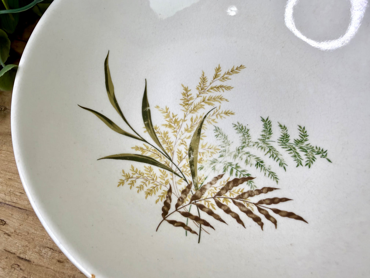 Vintage Mid-Century Fern Serving Bowl