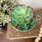 Upcycled Mini Washtub Faux Succulent Plant- Blue