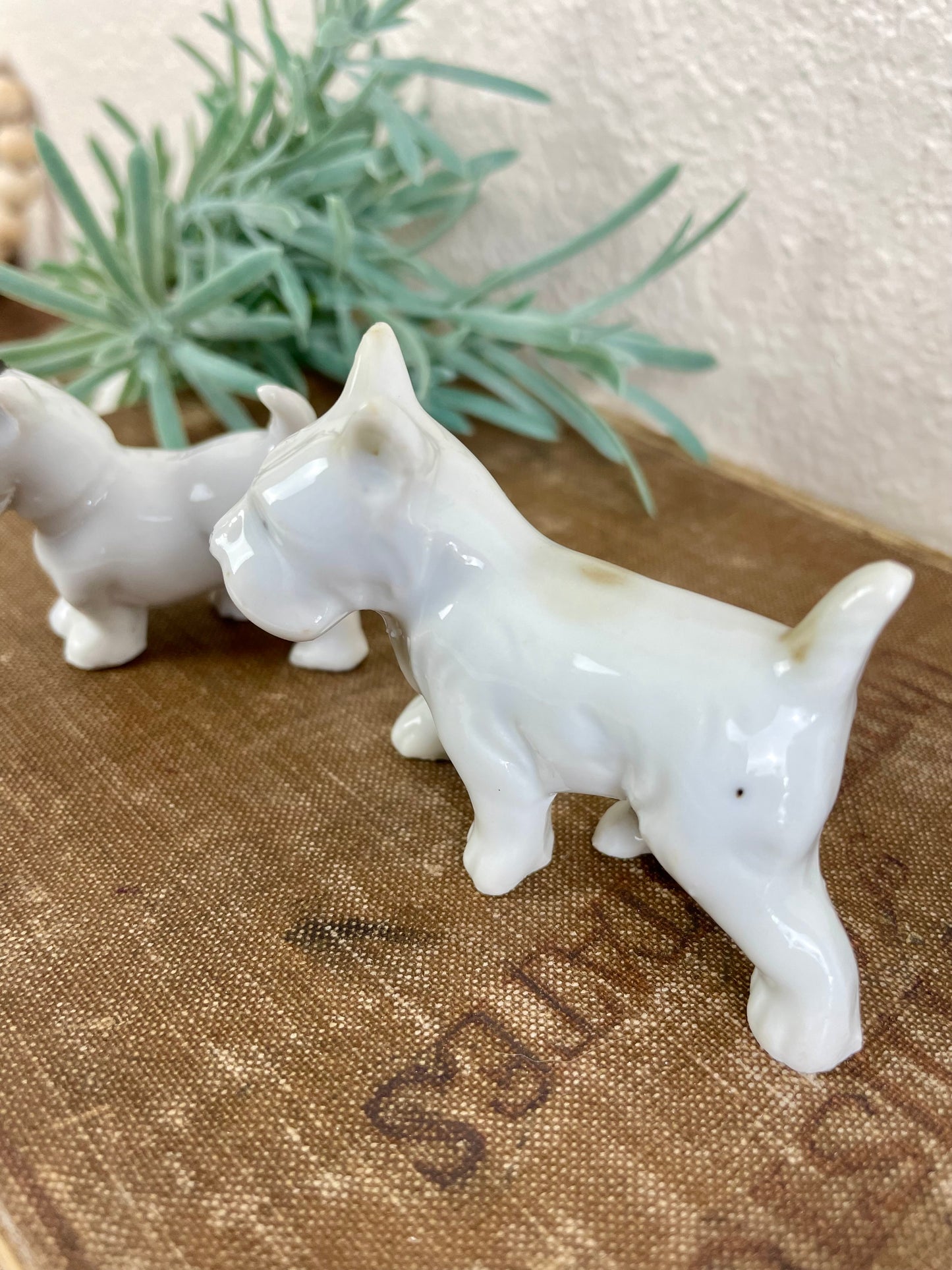 Vintage Porcelain Miniature Scottie Dog Set