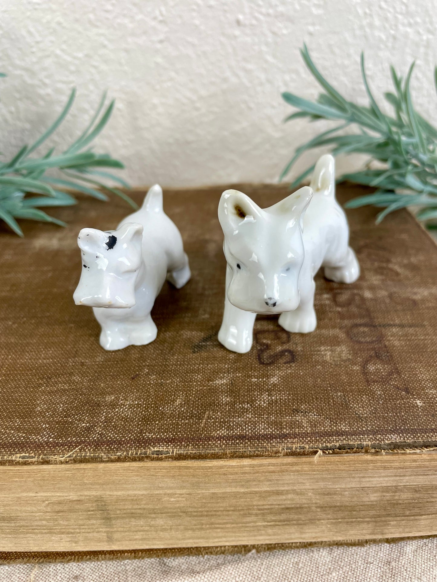 Vintage Porcelain Miniature Scottie Dog Set