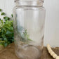 Antique Early 1900’s Kerr Economy Glass Jar