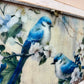 Handmade Upcycled Blue Bird Window Wall Art with Hanging Hooks- Shipping Included