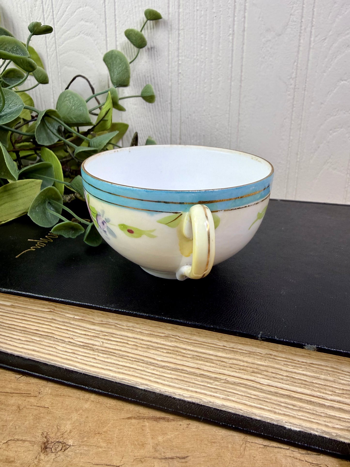 Vintage Nippon Teacup & Saucer Set with Hand Painted Roses