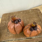 Rustic Miniature Pumpkin Set
