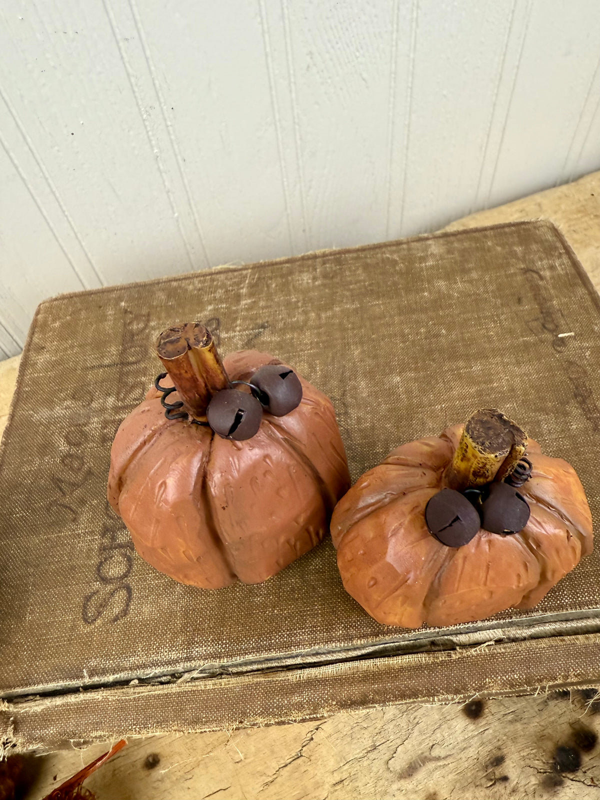 Rustic Miniature Pumpkin Set