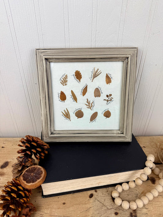 Vintage Framed Dried Florals