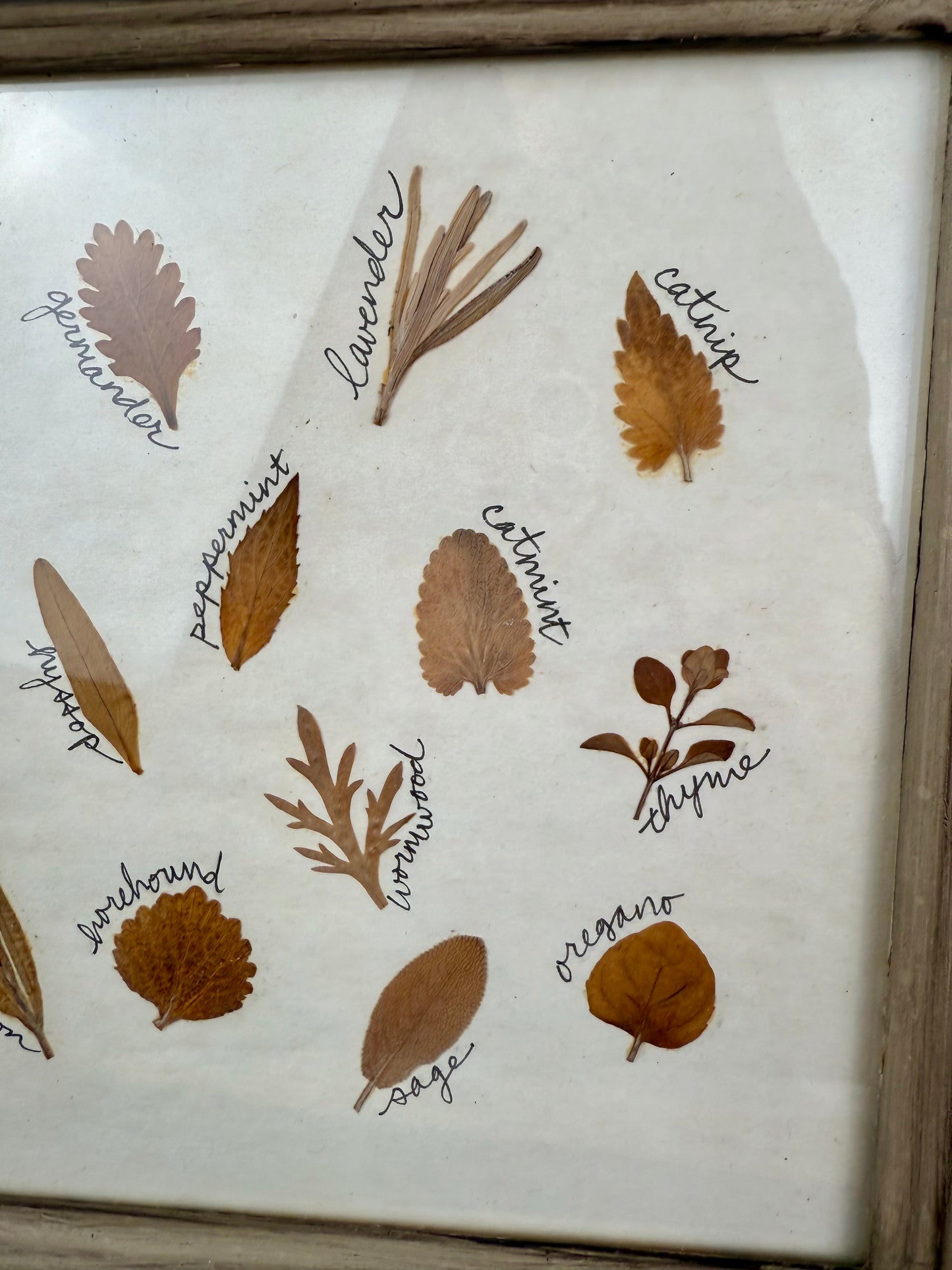 Vintage Framed Dried Florals