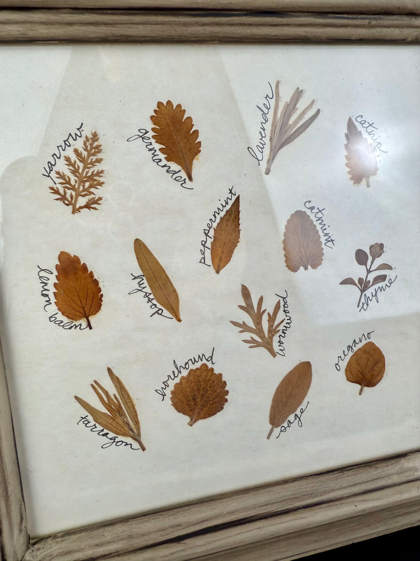 Vintage Framed Dried Florals