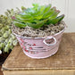 Upcycled Mini Washtub Faux Succulent Plant- Pink