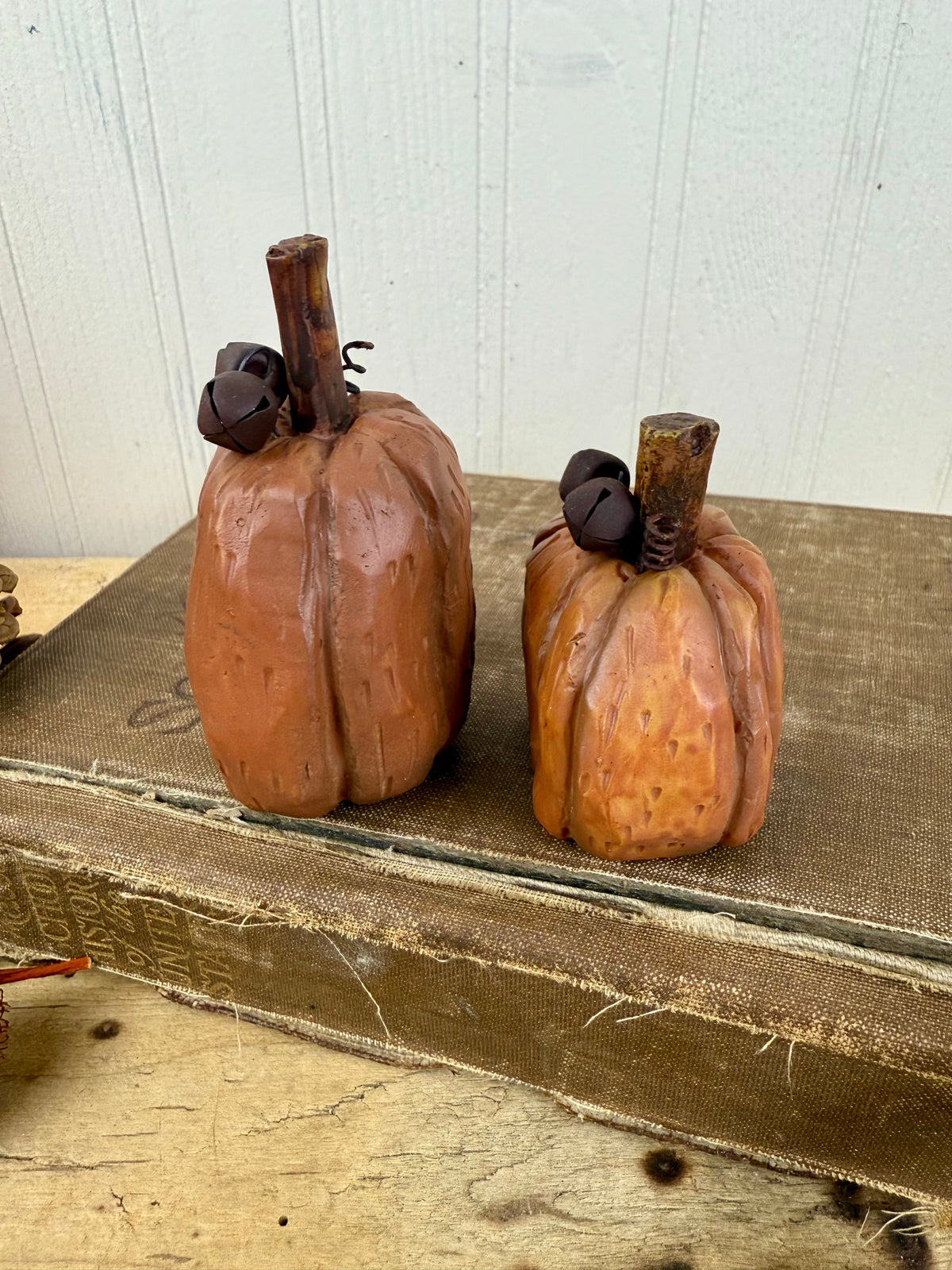 Rustic Miniature Pumpkin Set