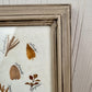 Vintage Framed Dried Florals