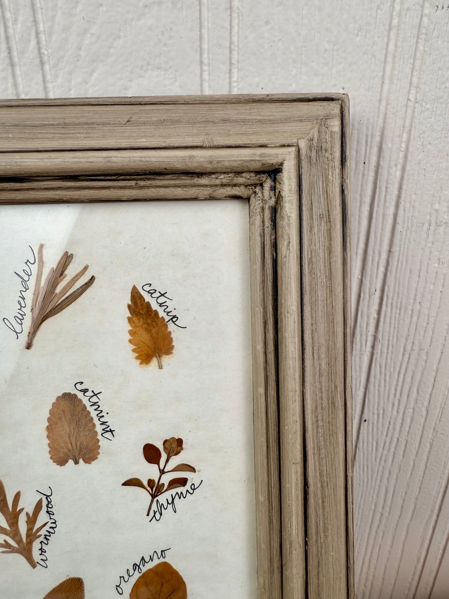 Vintage Framed Dried Florals