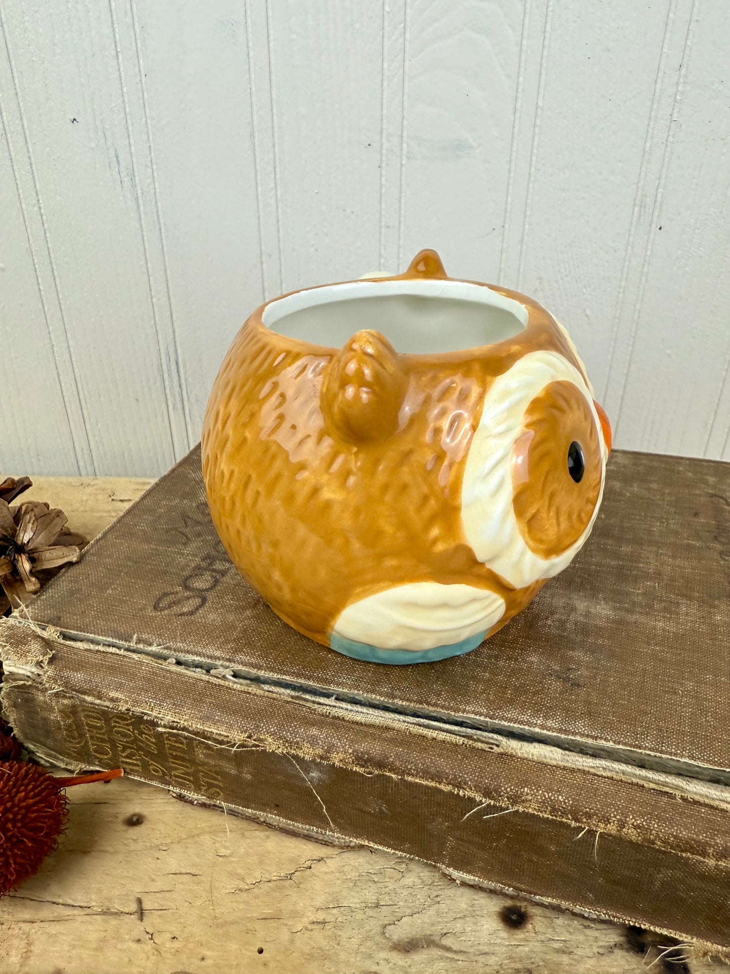 Retro Hand Painted Ceramic Owl Mug