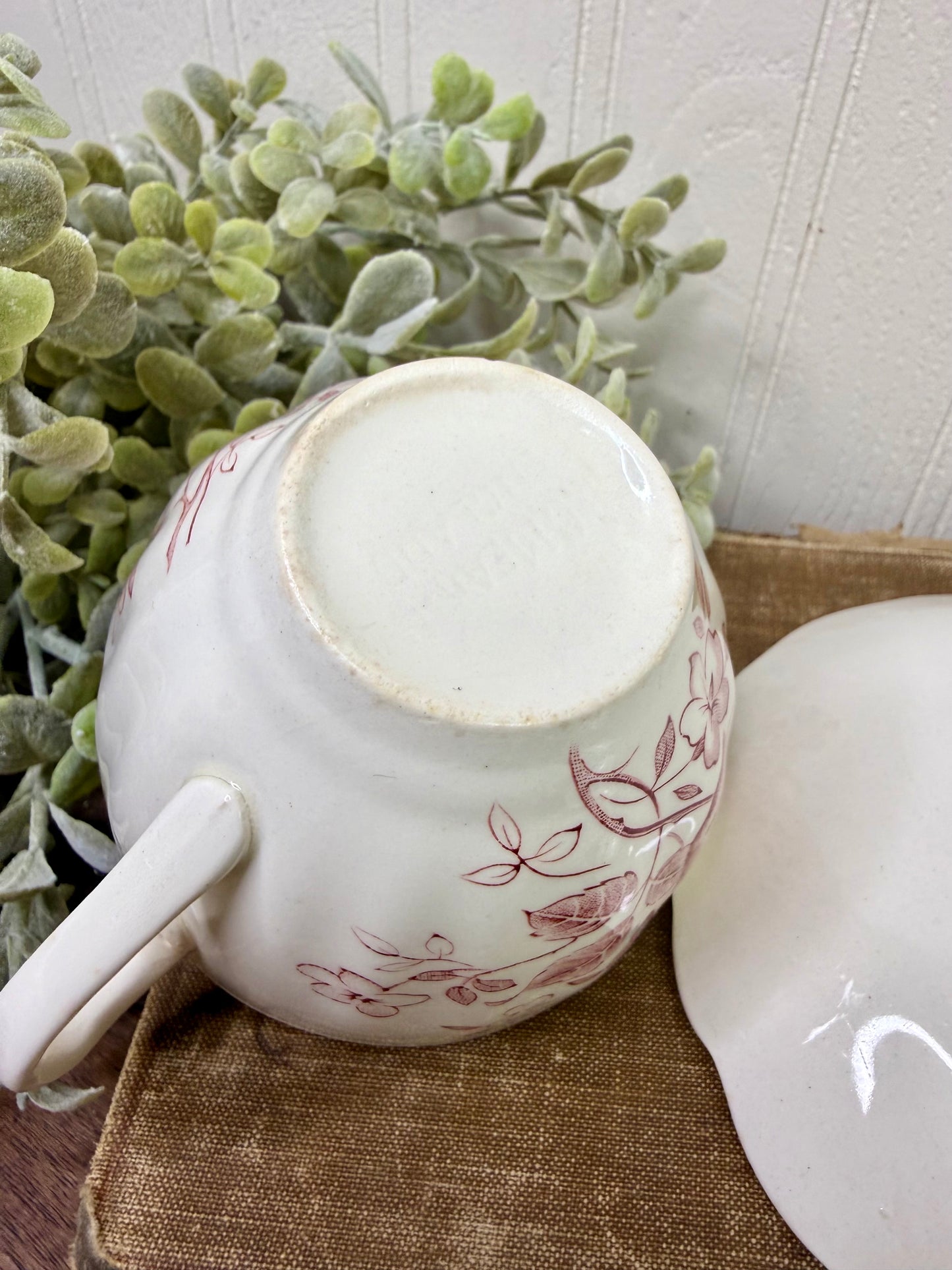 Antique J&G Meakin Tudor Roses Teacup and Saucer Set