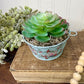 Upcycled Mini Washtub Faux Succulent Plant- Blue