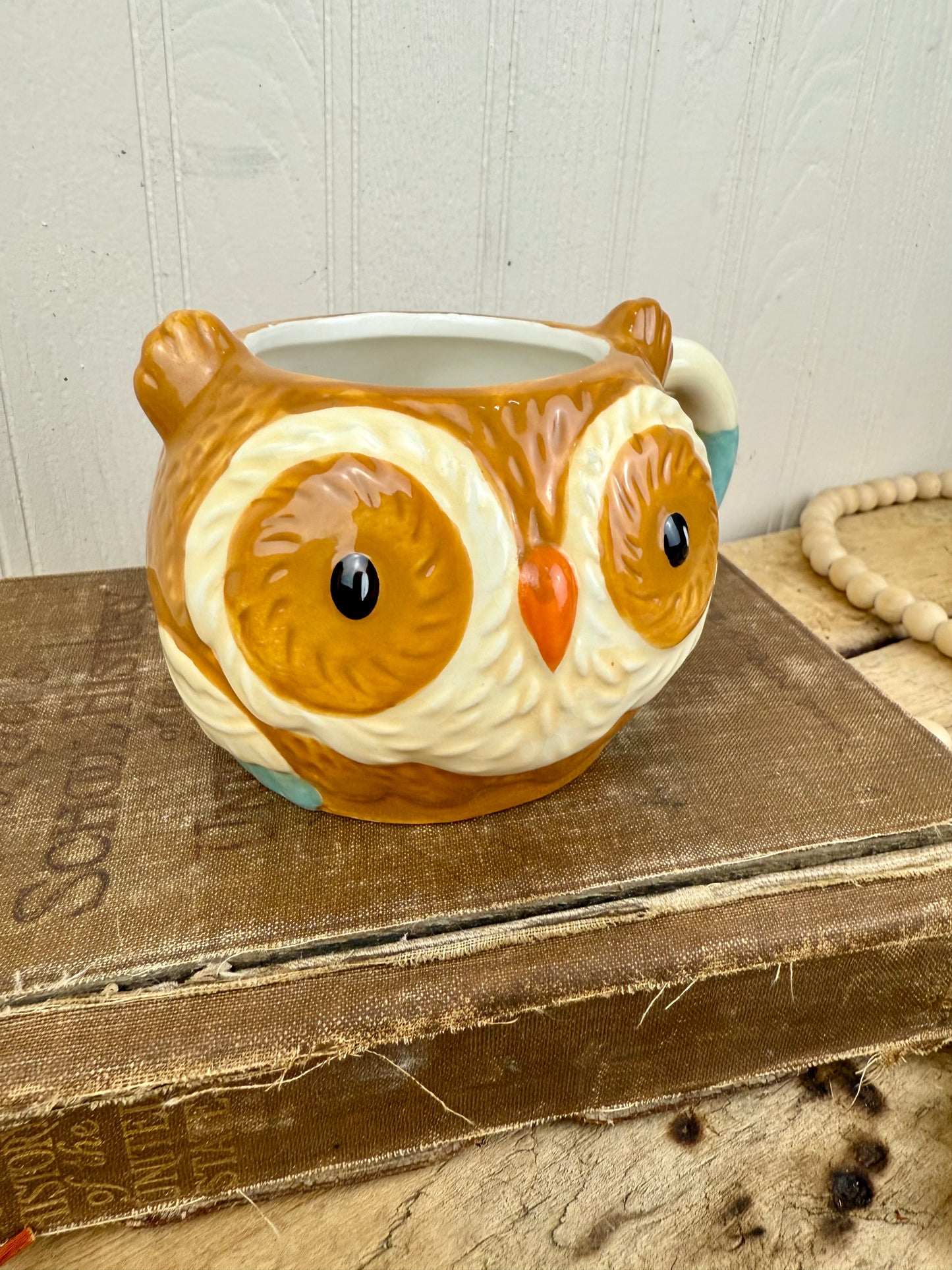 Retro Hand Painted Ceramic Owl Mug