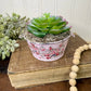 Upcycled Mini Washtub Faux Succulent Plant- Pink