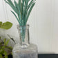 Vintage Burlington Iowa Medicine Bottle with Greenery