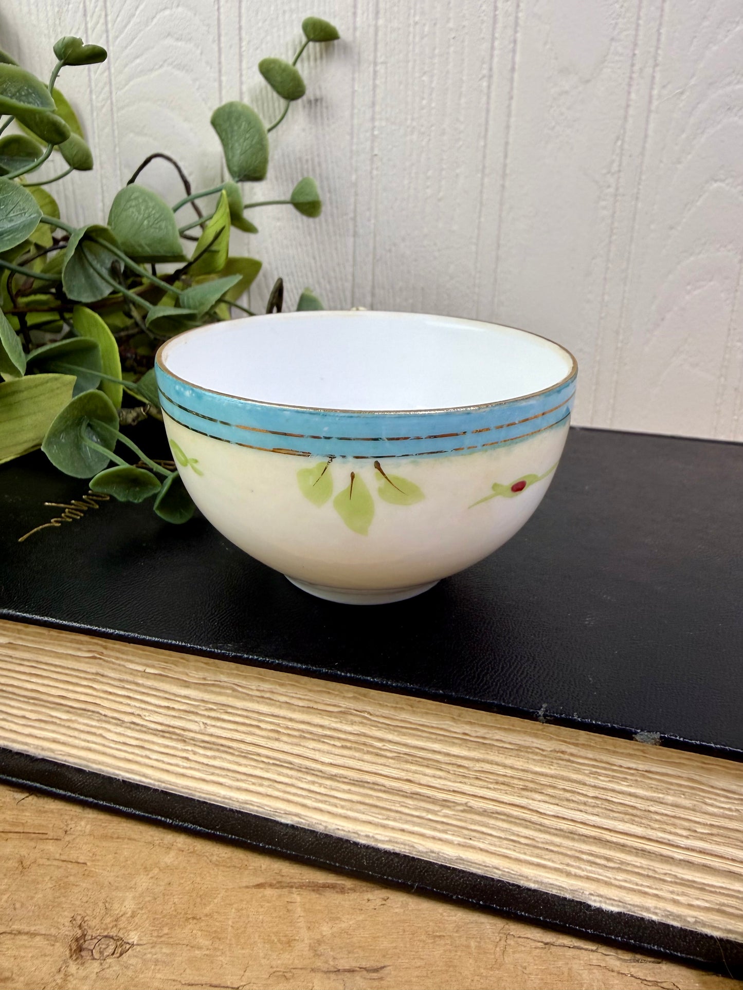 Vintage Nippon Teacup & Saucer Set with Hand Painted Roses