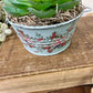 Upcycled Mini Washtub Faux Succulent Plant- Blue
