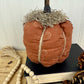 Handmade Plush Pumpkin with Doily Leaves