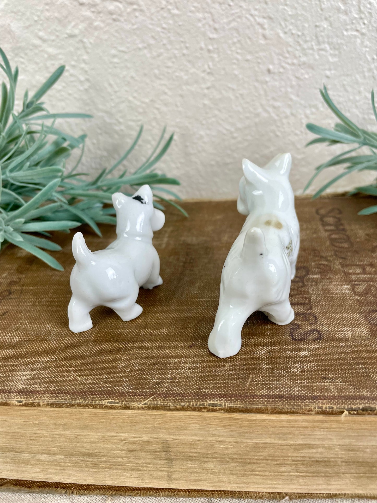 Vintage Porcelain Miniature Scottie Dog Set