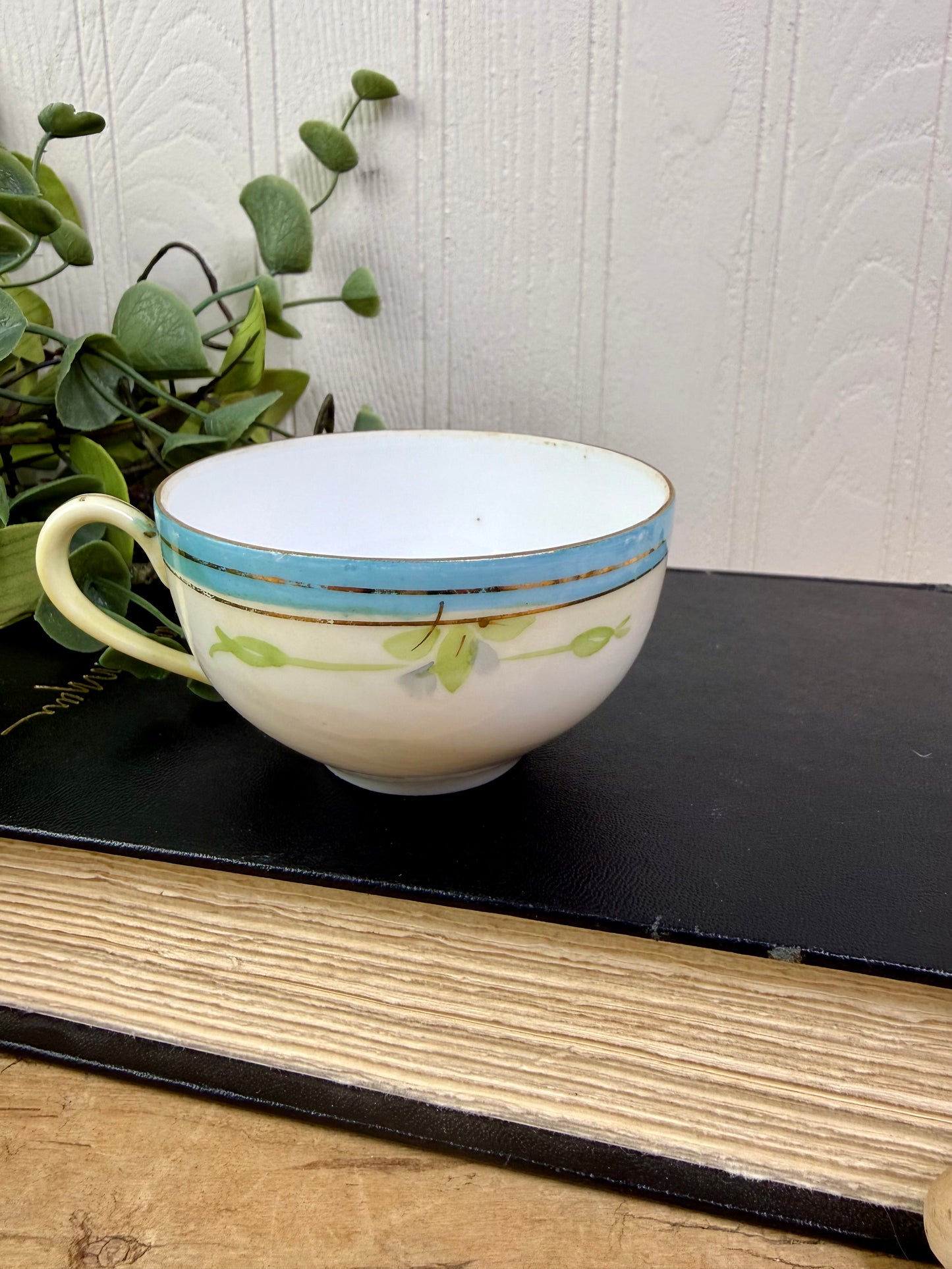 Vintage Nippon Teacup & Saucer Set with Hand Painted Roses