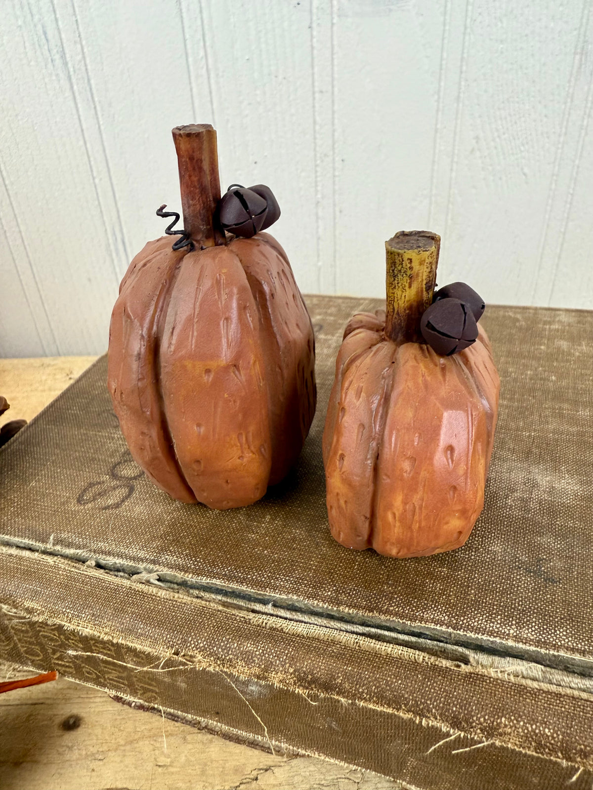Rustic Miniature Pumpkin Set