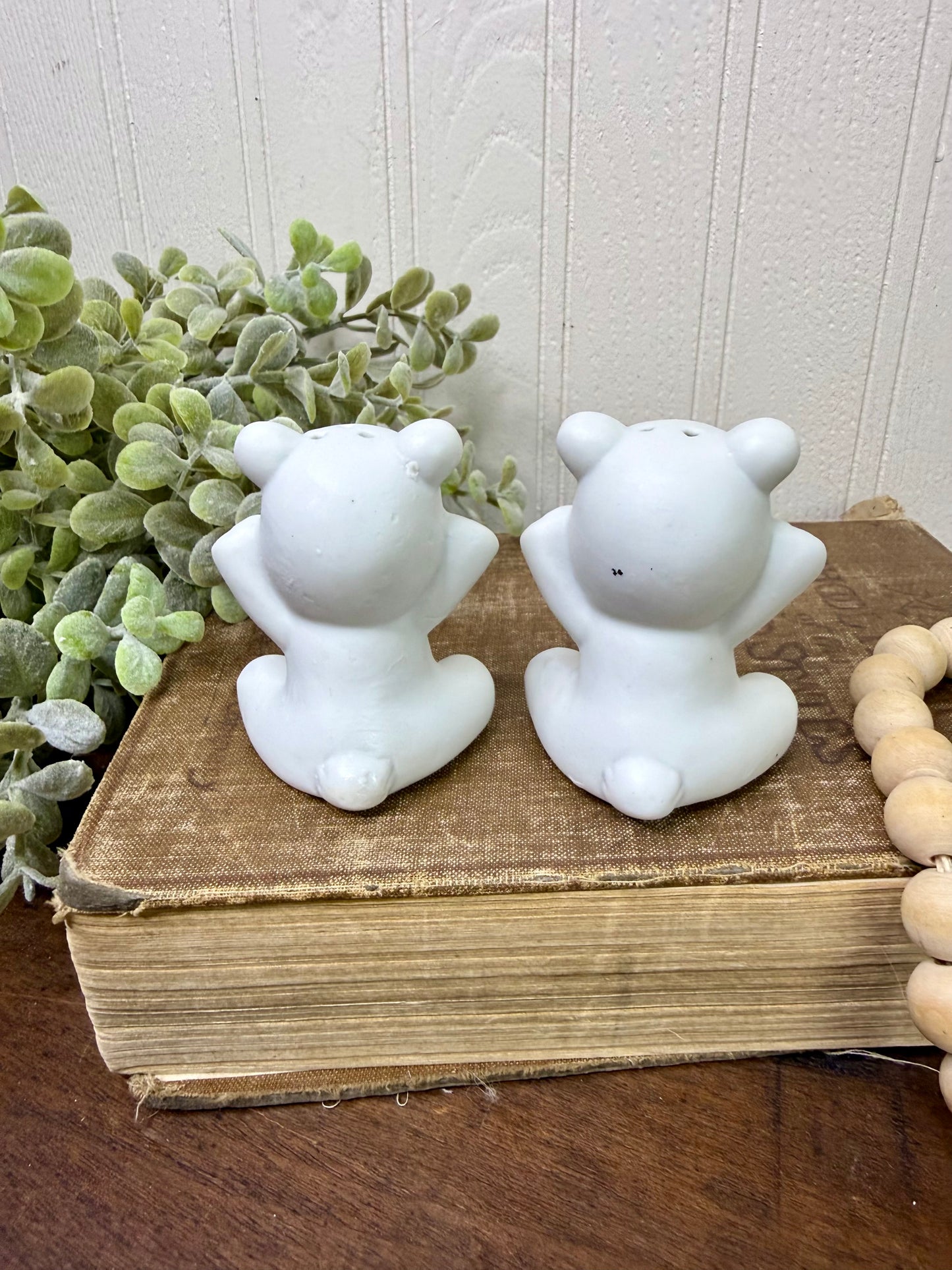 Vintage Porcelain Grumpy Bear Cubs Salt & Pepper Shaker Set