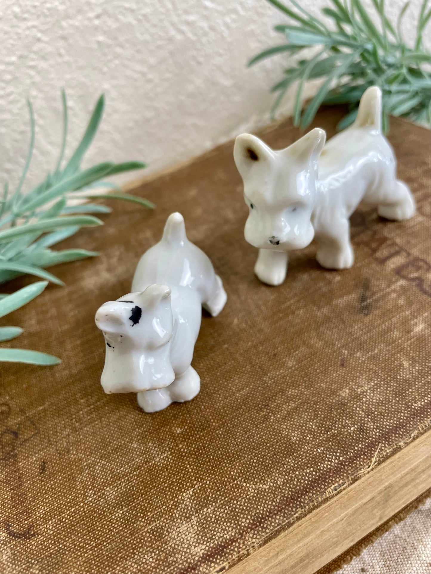 Vintage Porcelain Miniature Scottie Dog Set