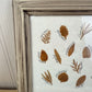 Vintage Framed Dried Florals