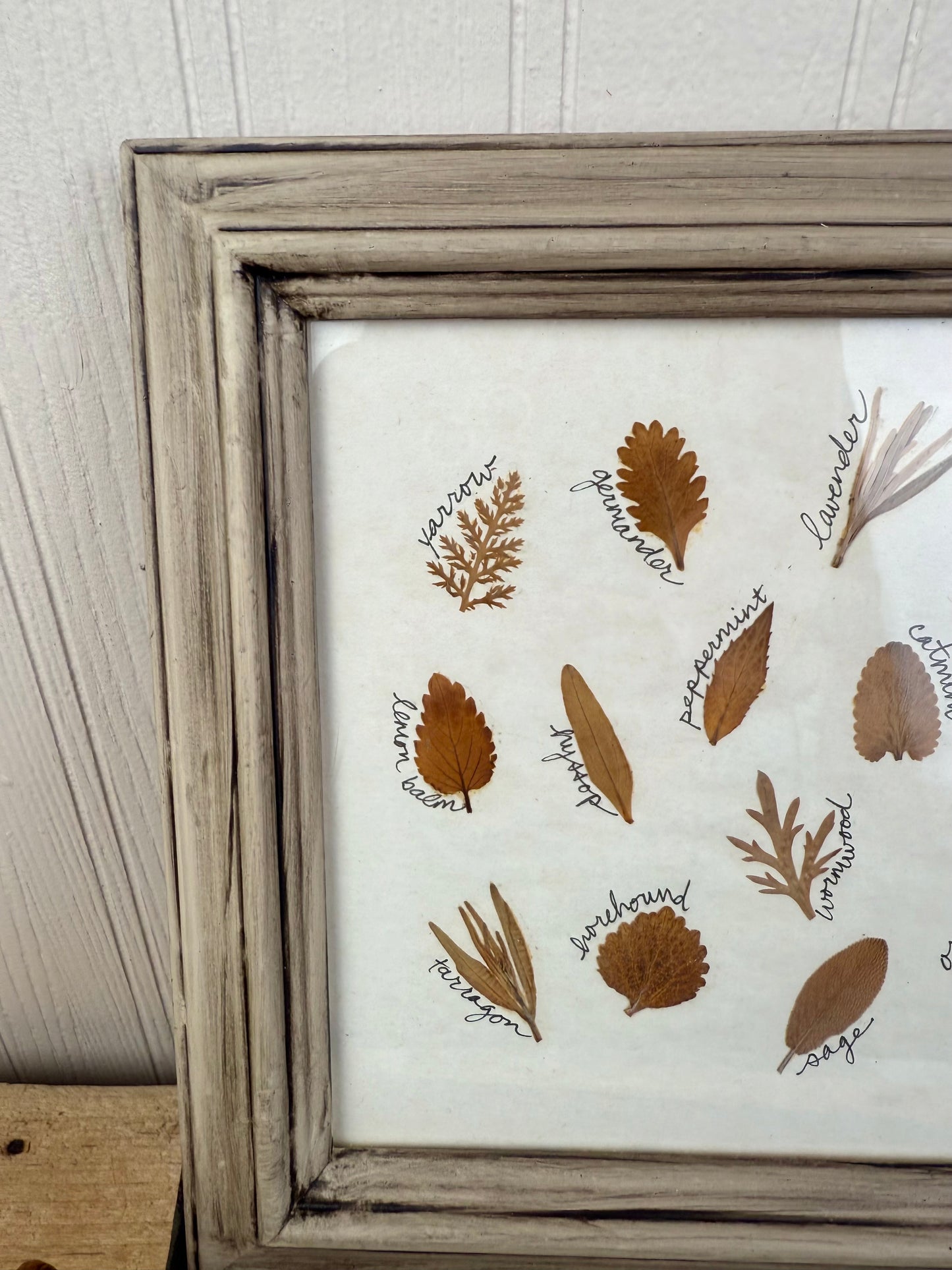 Vintage Framed Dried Florals