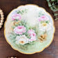 Antique J&C Bavaria Hand Painted Porcelain Plate