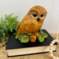 Vintage 1970's Homco Owl Figurine
