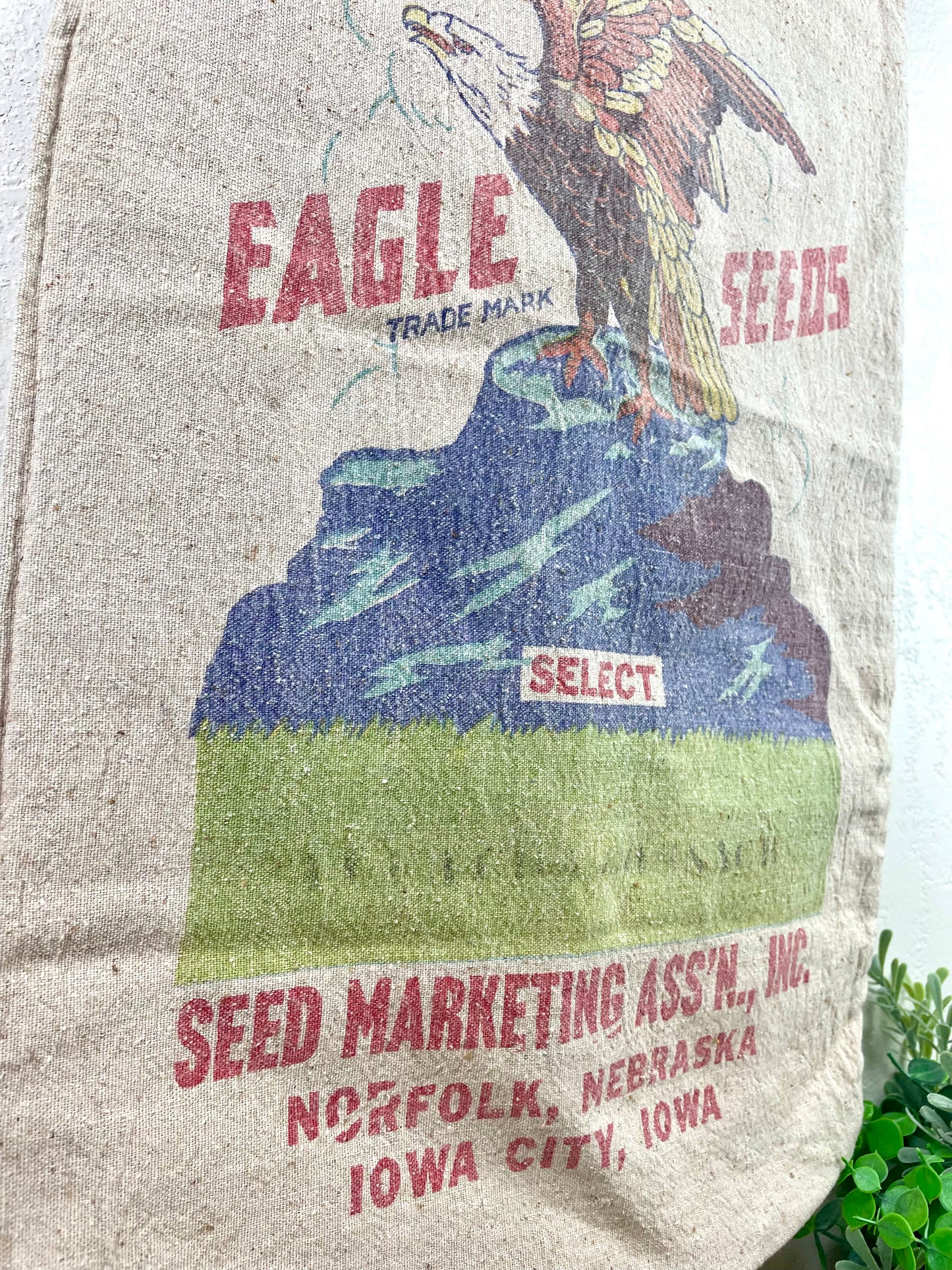 Vintage Eagle Seeds Sack