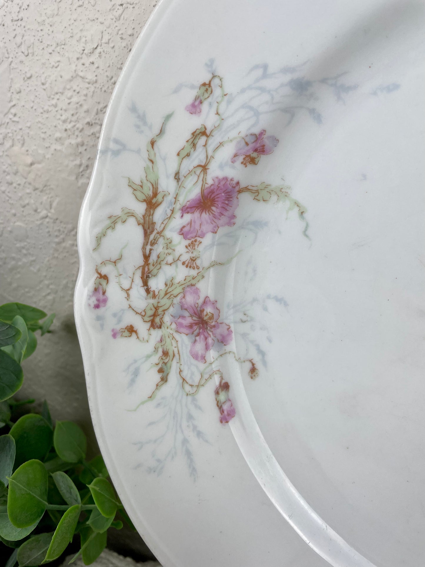 Vintage Syracuse China Plate with Florals